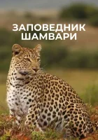 Заповедник Шамвари смотреть онлайн сериал 1 сезон